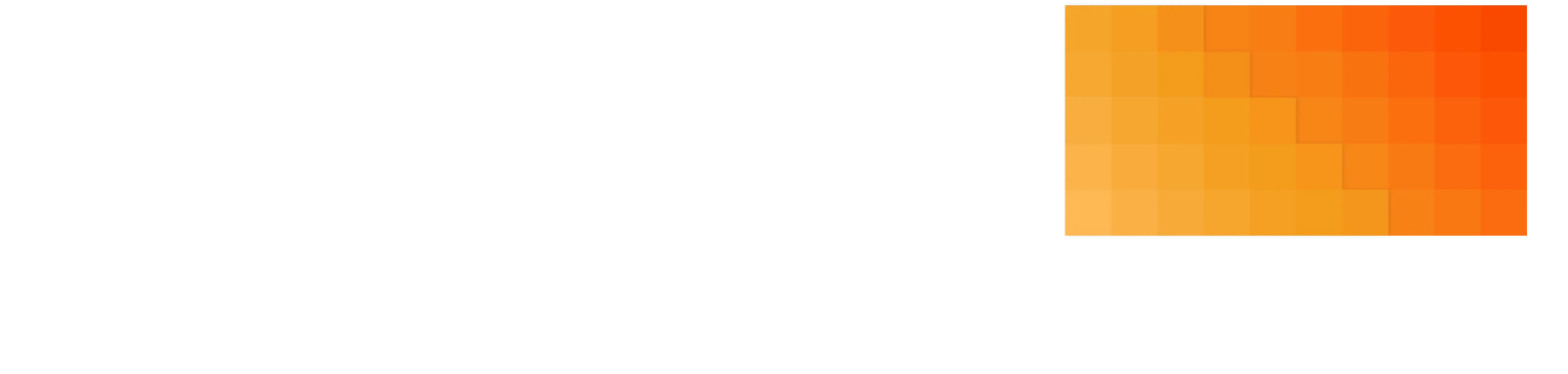 W2S Solutions Logo
